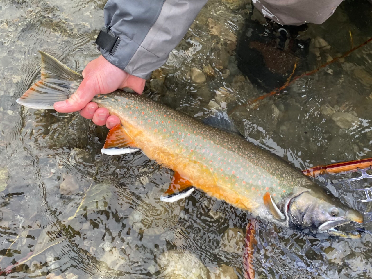 Fly Fishing Juneau Alaska, Guided Charters, River Fishing